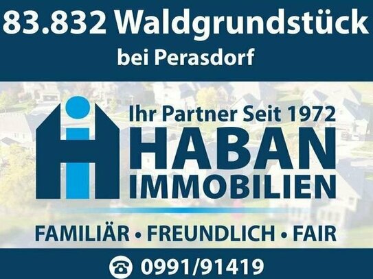 83.832 Waldgrundstück bei Perasdorf