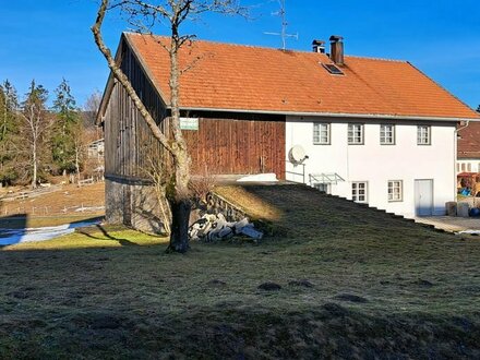 Sanierungsbedürftiges Bauernhaus mit 8000qm Baugrund + Grün- und Waldflächen