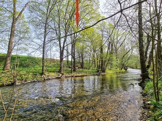 0,8 ha Waldflächen