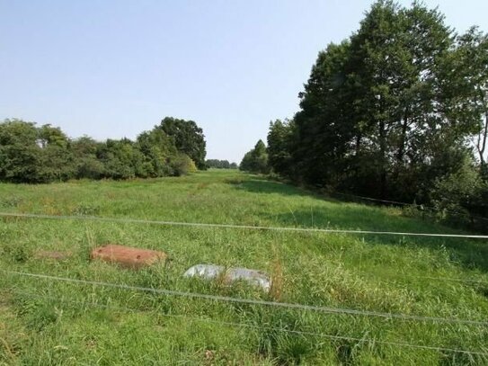 Kleiner Resthof bei Lensahn in ruhiger Lage auf 10.000 m²