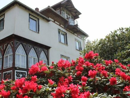 Villa mit Charakter als perfekter Wohlfühlort - einmalige Immobilie in einmaliger Lage im Kreis Sächsische Schweiz-Oste…