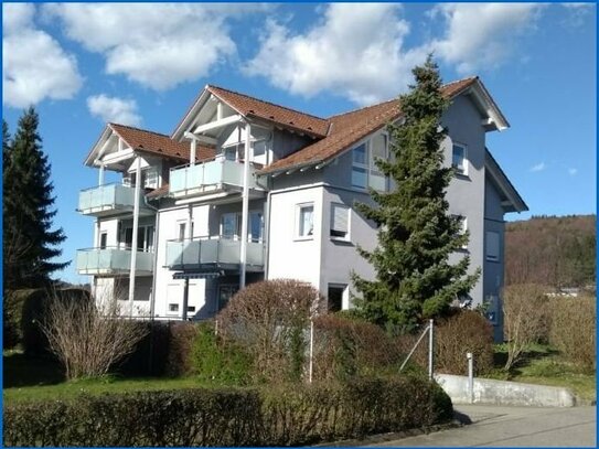 Schöne 3 Zimmer Dach Geschoß-Wohnung in Steißlingen in ruhiger Lage