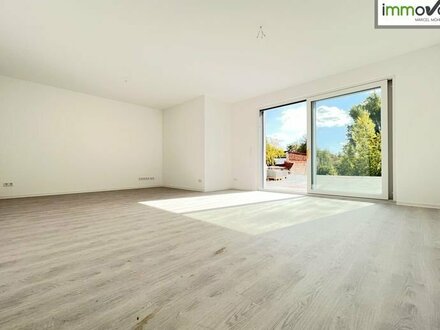 Ihr neues Büro mit 5 Räumen, offener Küche, zwei Bädern und Terrasse in Neue Neustadt zu vermieten.