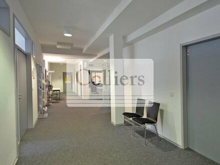 Moderne Bürofläche in schöner Umgebung - COLLIERS