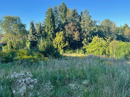 Traumhaftes Baugrundstück - Ruhige Lage in Lauf-Kuhnhof