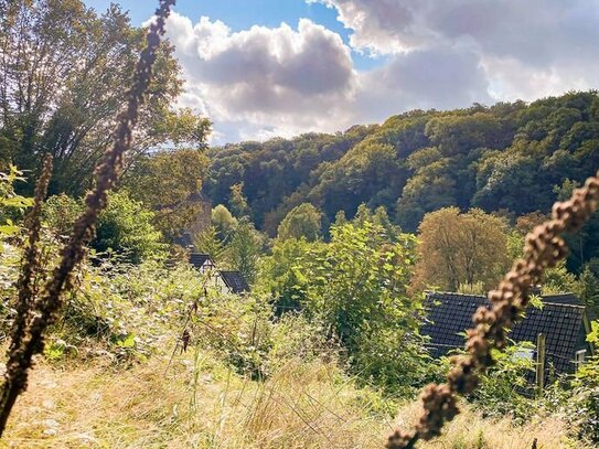 Sonnengrundstück in Solingen-Burg, Hanglage