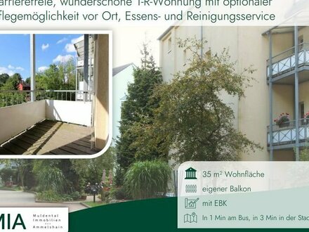 Barrierefreie, wunderschöne 1-R-Wohnung mit optionaler Pflegemöglichkeit vor Ort, Essens- und Reinigungsservice