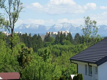 Gelegenheit - Schöne helle 2-Zi Dachgeschoss Wohnung mit Gartenanteil in Wangen-Herfatz zu verkaufen