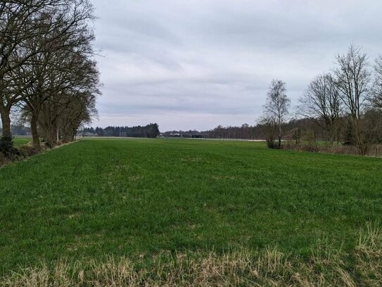3,7 ha Ackerland in Kayhauserfeld/Gemeinde Bad Zwischenahn