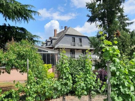 Mosel - Hobby-Weingut mit 1,6 ha Riesling