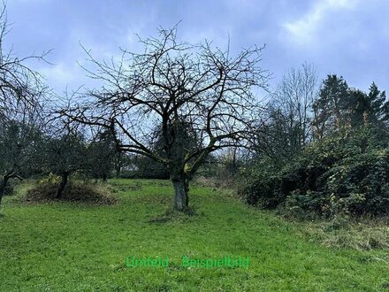 Neuenberg / Remshalden - zwei zusammenliegende Freizeitgrundstücke mit 882 m²