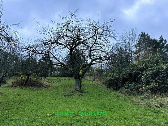 Neuenberg / Remshalden - zwei zusammenliegende Freizeitgrundstücke mit 882 m²