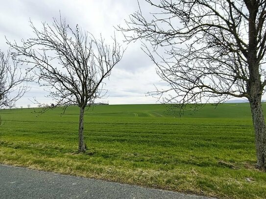 0,8 ha Landwirtschafts-/Verkehrsfläche