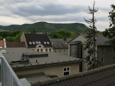 Mietwohnung mit Dachterrasse im Stadtzentrum