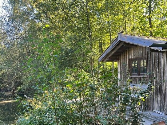 Wald, Biotop, Bienenhaus, Mini-Fischteich, Freizeitgrundstück