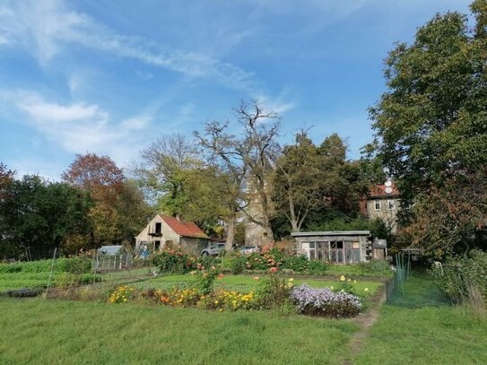 Viel Platz in Schönerlinde * neues Projekt auf 4 Baugrundstücken im Erbbaurecht *