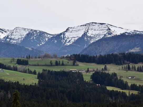 Schöne helle 2,5 - Zimmer Terrassenwohnung mit Traumhaftem Ausblick - sofort frei - in Oberreute