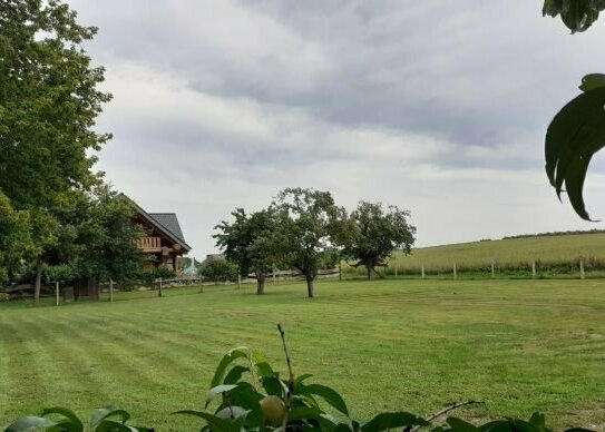 Für Ferienhausbauer! Baugrundstück zur Sondernutzung am Fleesensee in Untergöhren, freie, unbebaubare Südseite