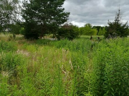 Gartengrundstück zu vermieten