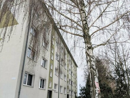 Provisionsfreie 3-Raumwohnung mit Balkon in Dahlen zu vermieten !!!