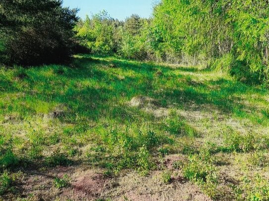 Pachtgrundstück (Berggarten) in Sülzfeld bei Meiningen