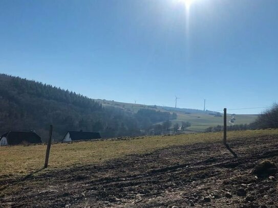 Baugrundstück mit leichter Hanglage, unverbaubarer Blick in Niederzissen