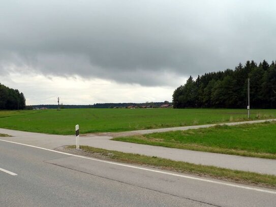 Ebenes Grünland in der Gemeinde Valley