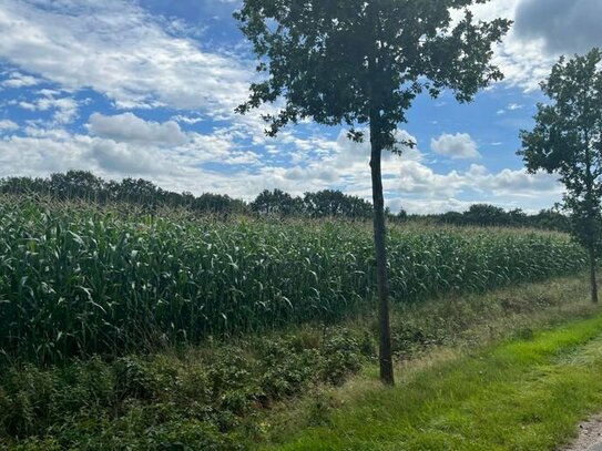 Landwirtschaftliche Flächen in Westerstede Westerloyerfeld zu verkaufen