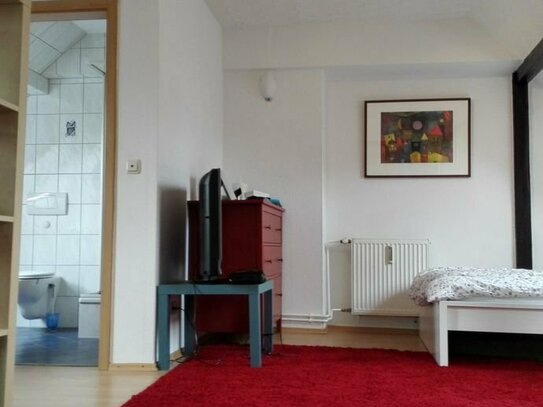 Gemütliches 1-Zimmer-Appartement zu vermieten