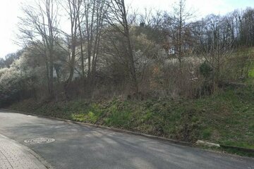 Baugrundstück mit Idyllischer Lage in Wollenberg