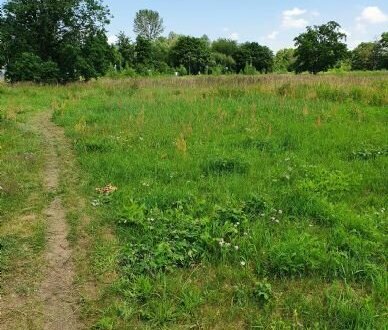 Ein Platz an der Leuchte, Wohnen am Park !