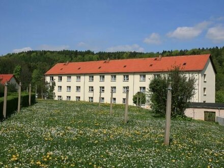 Wohnen im Grünen - sonnige Dreiraumwohnung