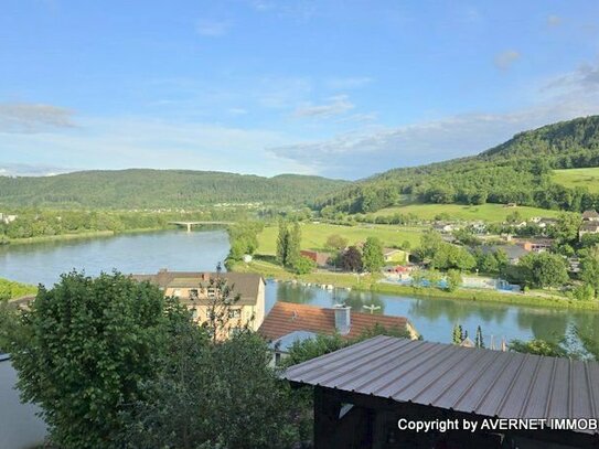 +++ AVERNET - RHEINPANORAMA-WOHNUNG MIT GR. GARTEN IN LAUFENBURG +++