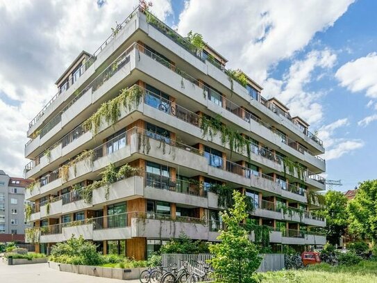 Erstklassige 2-Zimmer-Wohnung mit Terrasse in Berlin-Pankow