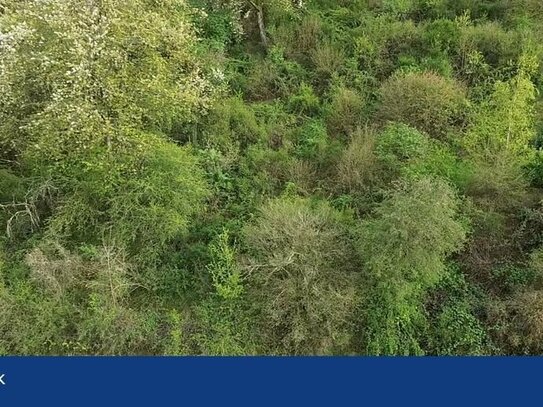 Baugrundstück mit traumhaftem Ausblick