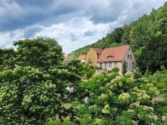 Bauträgerfreies Grundstück in Bad Schandau mit Elbblick für 1 oder 2 Baukörper