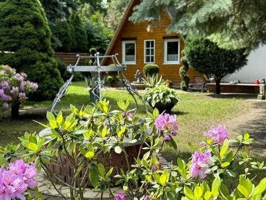 Ihr Paradies am Möhlauer See: Exklusives Ferienhaus mit Traumgarten und Wintergarten-Oase