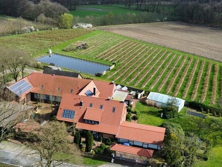 Mit der Natur im Einklang - Landwirtschaftliches Anwesen mit Potenzial!