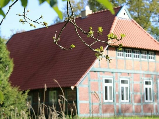 Wohnen inmitten der Natur: stilvoll saniertes Zweiständerhallenhaus auf idyllischem Hofgrundstück