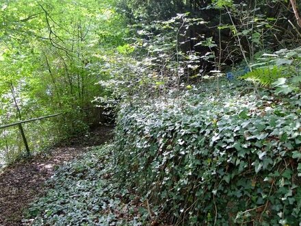 Herausforderung für Handwerker, oder Baugrundstück