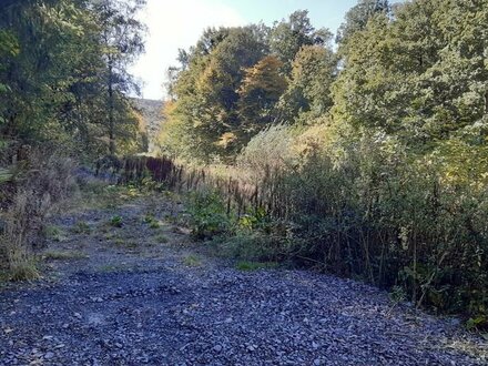 Baugrundstück 2130m² in ruhiger Lage Potenzial für 1-2 Familienhaus und großem Garten