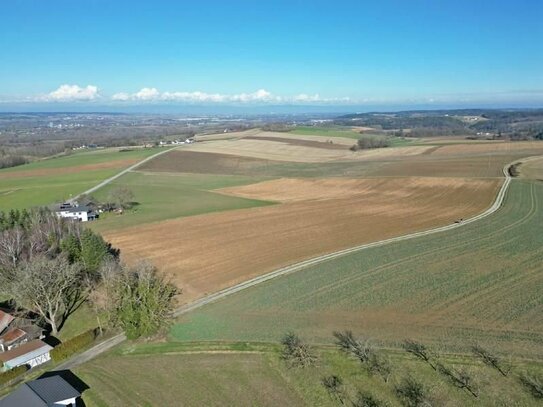 Landwirtschaftliche Flächen als nachhaltige Kapitalanlage!