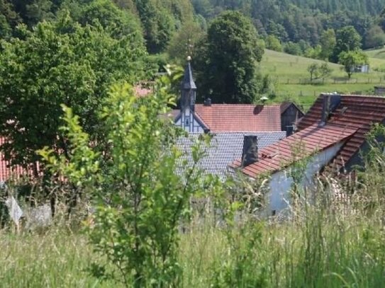 2024 Bauen in modernem Wohngebiet - Naturnah und Traumblick garantiert !