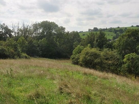 Nettersheim: Attraktives Grundstück mit Fernblick in grüner, unverbauter Randlage!