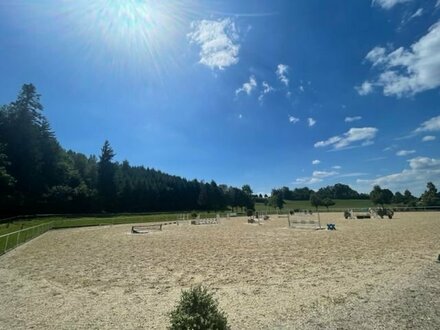 Top-Standort Bodenseeregion: Reitanlage für Zucht und Sport