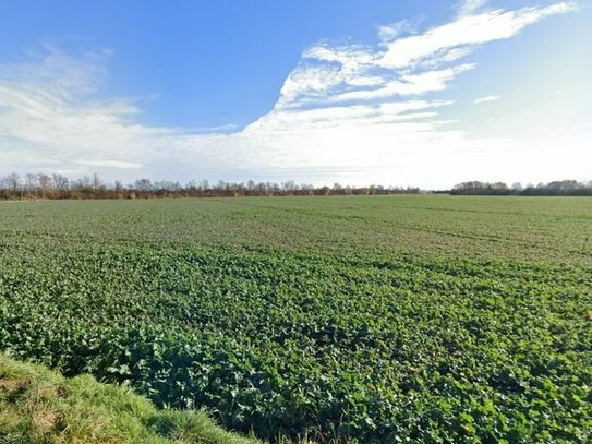 Landwirtschaftliches Grundstück mit Potenzial...