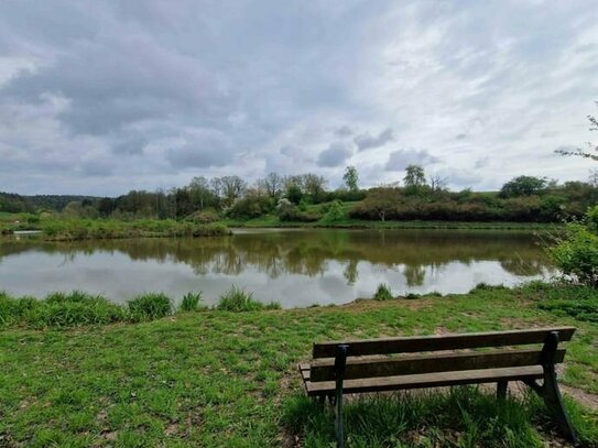 Romantisches Grundstück direkt am See - Landkreis Bamberg