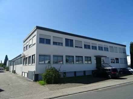 610 m² Lagerhalle + 371 m² Bürofläche in Dietzenbach zu vermieten