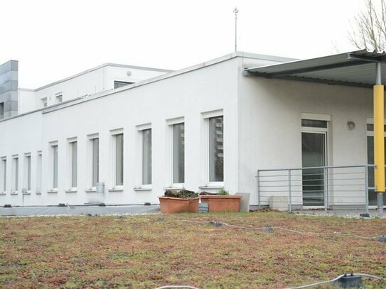 Bürofläche mit Terrasse in Kranichstein Mitte