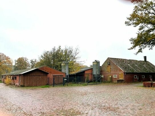 Hofstelle im Raum Vechta OT. Holtrup